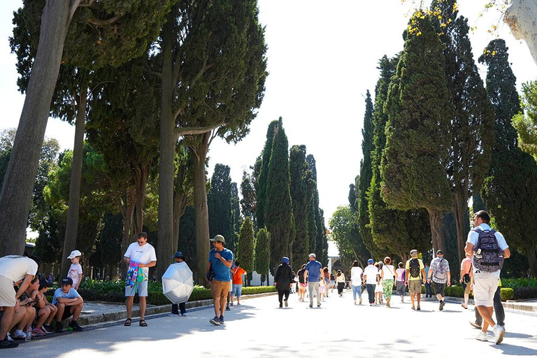 Topkapi Palace, Harem, & Hagia Irene Entry Ticket and Audio