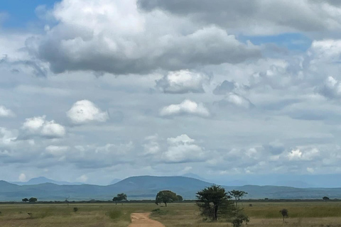 SAFARI DJURLIV FRÅN ZANZIBAR TILL MIKUMI 3 DAGAR OCH 2 NÄTTER