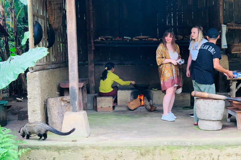 Ubud: Waterfalls, Sacred Monkey Forest & Rice Terraces Tour Private Half-Day Tour (5-6 Hours)