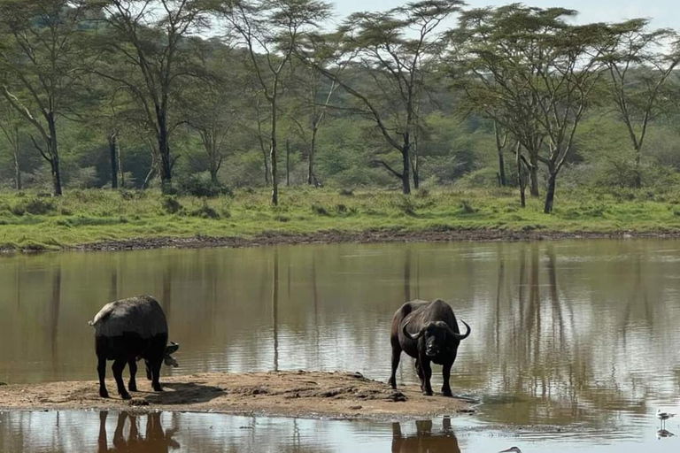 Nairobi: Giro in barca del Lago Naivasha e Parco Nazionale Hell&#039;s GateNairobi: escursione di un giorno alla Porta dell&#039;Inferno e al lago Naivasha