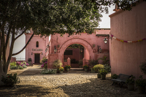 From Ica: Wine and Pisco Cellar Sightseeing Tour with Tastings and Transfers Premium Pisco Route (Afternoon)