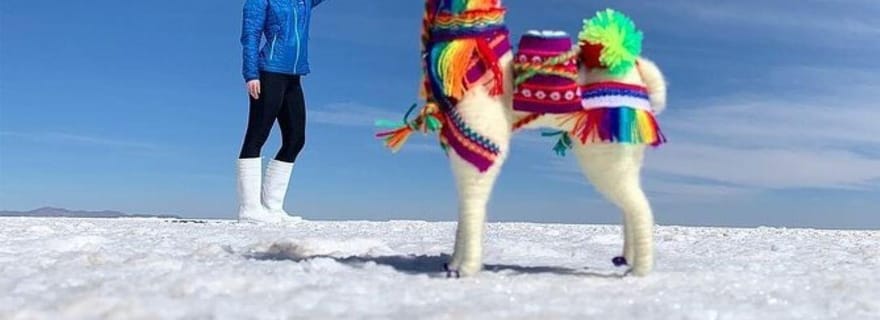 Depuis Uyuni : visite d'une journée des salines d'Uyuni et coucher de soleil