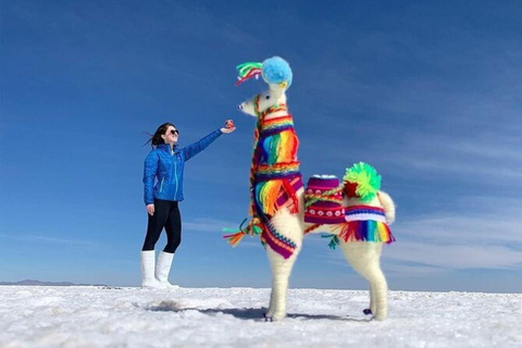 Salar de Uyuni 1 dag + fotosession + solnedgång (engelska)