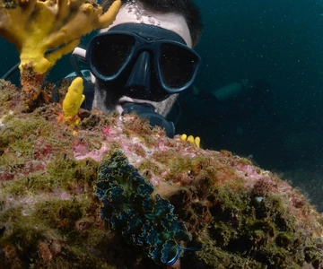Ixtapa: Nighttime Underwater Exploration at Piedra Solitaria