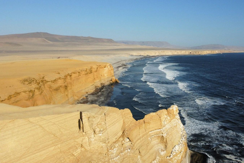 Paracas i Huacachina - wyprawa do pustynnych oaz