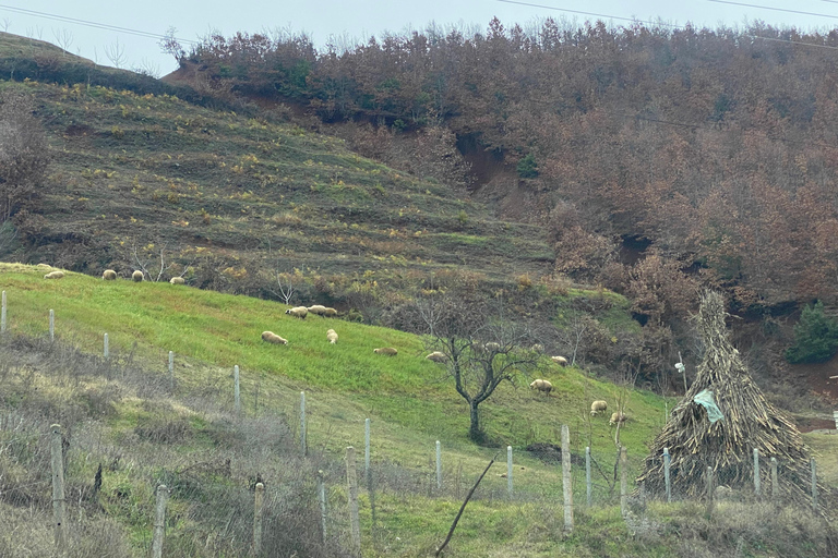 From Tirana/Durres: THINK GLOBAL, ACT AS A LOCAL