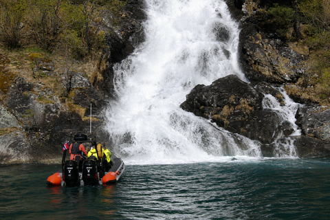 Flåm: Nærøyfjord RIB-boat Experience & Waterfalls