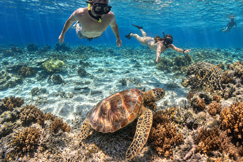 From Gili Air: Snorkelling Trip with Turtles, Statue & GoPro From Gili Air: Shared Snorkeling with Turtles, Statue &GoPro