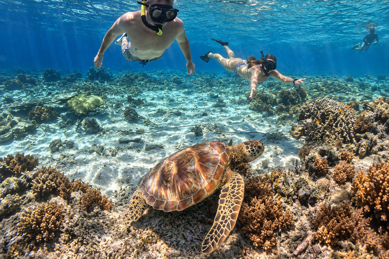From Gili Air: Snorkelling Trip with Turtles, Statue & GoPro From Gili Air: Shared Snorkeling with Turtles, Statue &GoPro