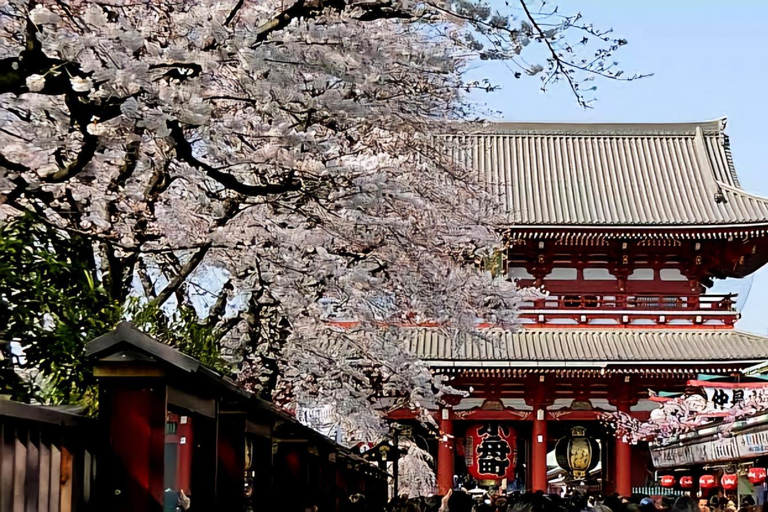 Tokyo Private Tour with English speaking driver Luxury Minivan(1 - 6)