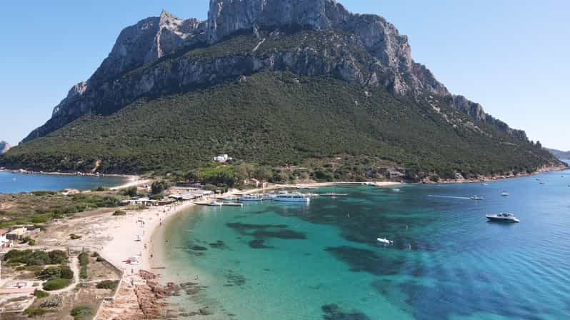 San Teodoro: Excursão de bote pelas ilhas Tavolara e Molara