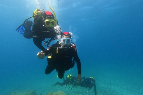 Découvrez la plongée sous-marine à Tenerife ! La meilleure expérience !