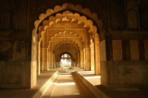 Delhi: 6Day Golden Triangle with Jodhpur & Udaipur(5* Hotel) From Delhi: Car & Guide for full Tour (No Tickets & Hotel)