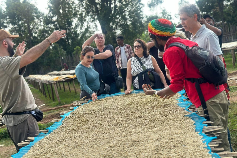 Ethiopia Coffee Tour: 3 Days / 2 Nights in Yirgalem
