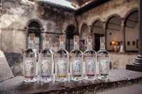 Winery tour with tasting of TrentoDoc and Grappa - Housity