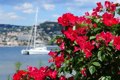 From Cannes:Shore excursion to Grasse,Antibes,St PauldeVence