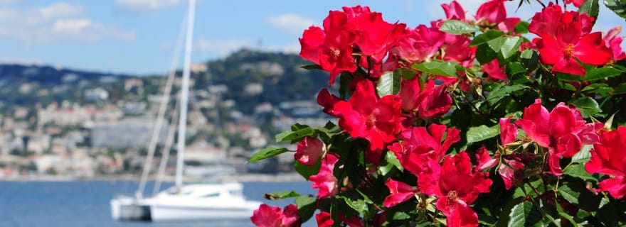 Au départ de Cannes : Excursion à Grasse, Antibes, St PauldeVence