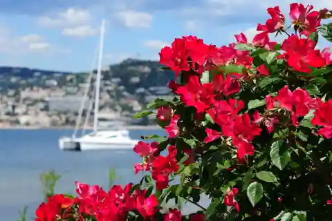 Da Cannes:Escursione a Grasse, Antibes, St PauldeVence