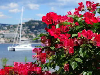 Från Cannes:Landutflykt till Grasse,Antibes,St PauldeVence