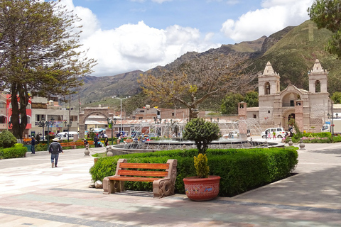 From Arequipa: Tour Fantastic to Colca Canyon |2Days/1Night|