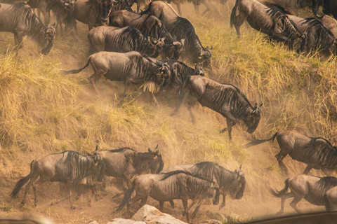 3-Days Masai Mara Joining Safari From Nairobi 3-Days 2 Nights Masai Mara Safari From Nairobi