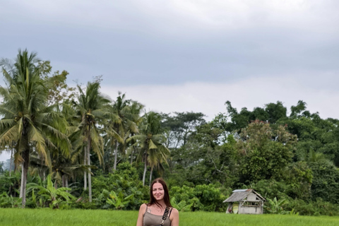 Bali: Private Jungle Swing, Waterfall & Rice Paddy Tour Private Tour with Entrance Fess