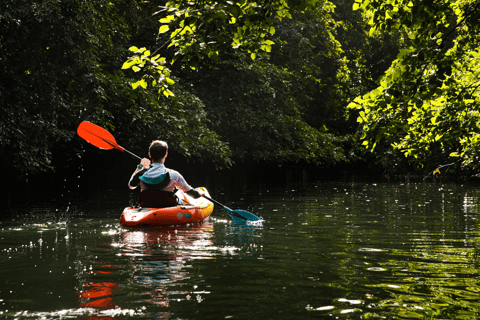 Maurice : kayak, dauphins sauvages, île Benitiers, rivièreMaurice : Kayak, dauphins sauvages, île Benitiers, rivière