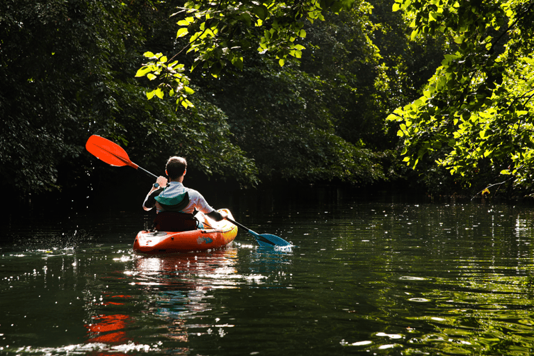 Maurice : kayak, dauphins sauvages, île Benitiers, rivièreMaurice : Kayak, dauphins sauvages, île Benitiers, rivière