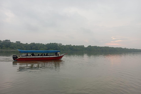Glowing Kuala Selangor Firefly Tour