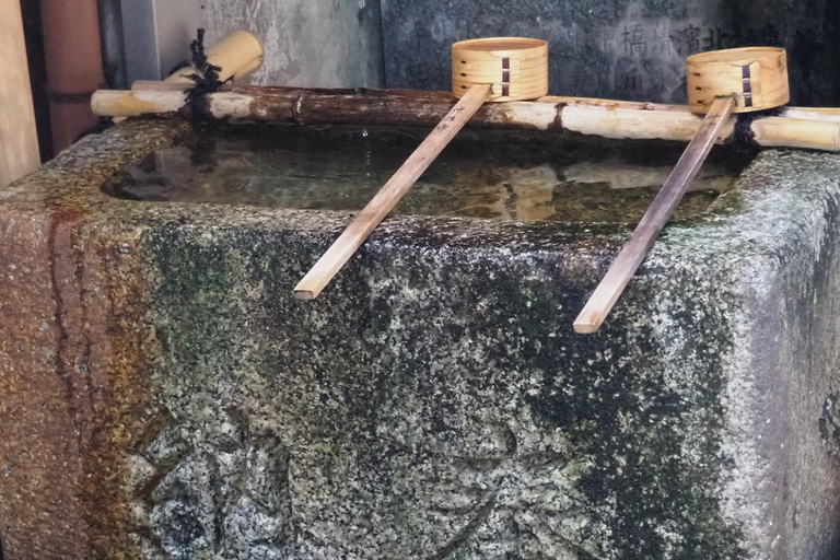 E-Bike Tour in Kyoto with Asuka, Japanese graduate student