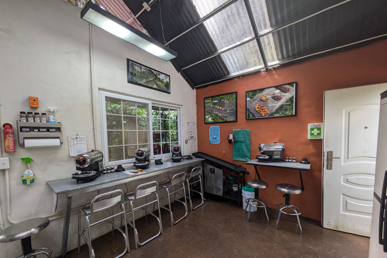 Boquete: Hands-On Coffee Experience with Tasting