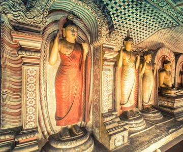 De Sigiriya a Kandy Drop Tour - Sri Lanka