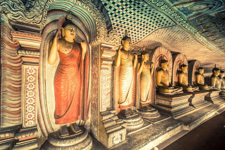 Sigiriya: Tempio di Dambulla e tour del villaggio da Trincomalee