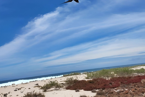 BEST BIRDWATCHING &amp; SNORKELING TOUR AT NORTH SEYMOUR ISLAND