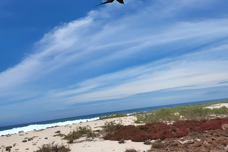 BESTE TOUR ZUR VOGELBEOBACHTUNG UND ZUM SCHNORCHELN AUF NORTH SEYMOUR ISLAND