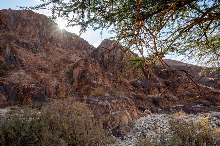 Petra: 5-Day Guided Hike to Wadi Rum with Meals