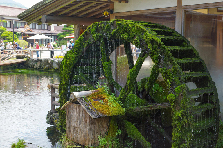 Mt. Fuji & Hakone Tour: Arakurayama, OshinoHakkai, Owakudani Tokyo Station | 7:30 AM Departure with English Guide