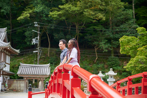 Osaka: Wandeltocht met gids naar Minoo waterval - 2,5uOsaka: 2,5 uur wandelen in Minoh