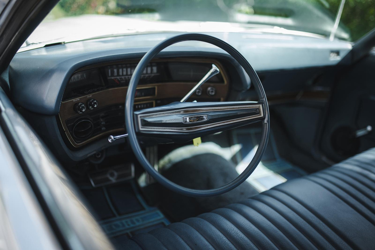 Genève: privé-dagtrip naar Montreux, Lausanne en Gruyères