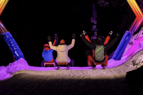 From Zurich: Alpine Mario Kart Light Ride — Snow & Stars