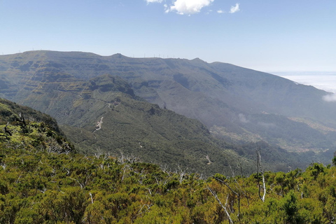 Funchal : randonnée au Pico Ruivo et à l&#039;Achada do Teixeira avec transfertFunchal : transfert pour randonnée au Pico Ruivo et à Achada do Teixeira