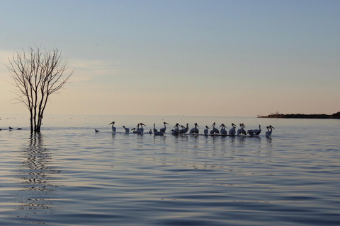 Door County historische huizenrij &amp; boottocht door de aardbeieneilanden