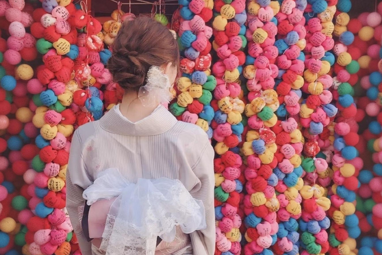 Kyoto: Kimono Experience with TeamLab Private Tour Kimono & Private Car Tour Package (Recommended)