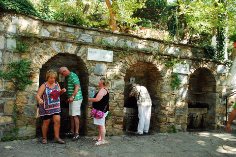 Kusadasi: Private Ephesus Shore Excursion with Lunch