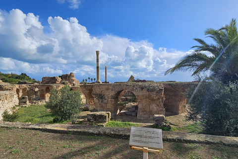 Excursión de un día a Cartago y Sidi Bou Said