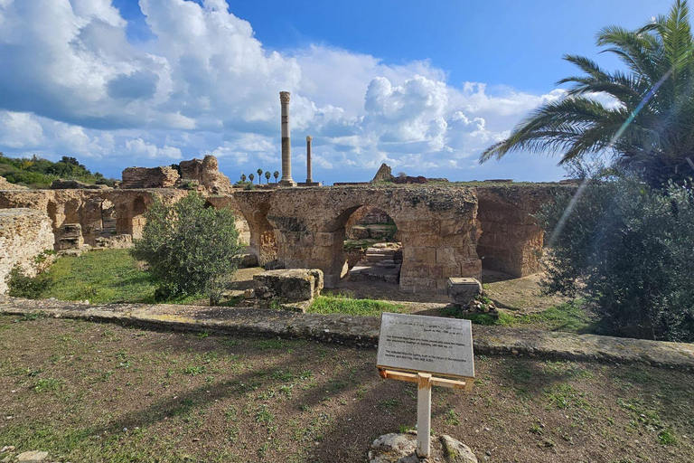 Excursión de un día a Cartago y Sidi Bou Said