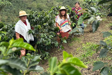 From Medellín: Coffee Farm Hiking & Exotic Fruit Marketplace