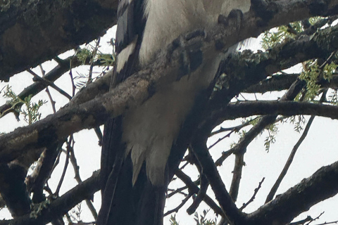 Addis Abeba: 3-tägige Tour zu den Seen des Rift Valley mit Guide