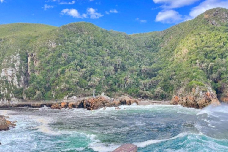 Johannesburg: 10-Day Victoria Falls & Garden Route Tour