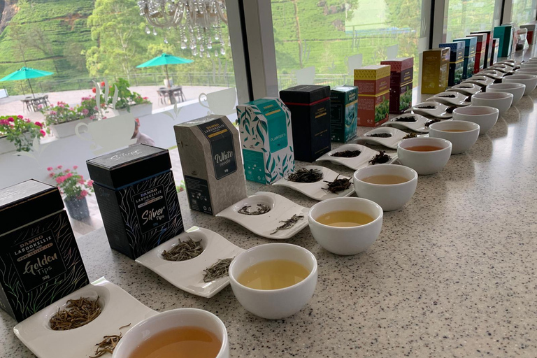 Kandy: Nuwara Eliya Transfer with Tea Factories & Falls Kandy–Nuwara Eliya drop with Tea Factory & Waterfall Stop